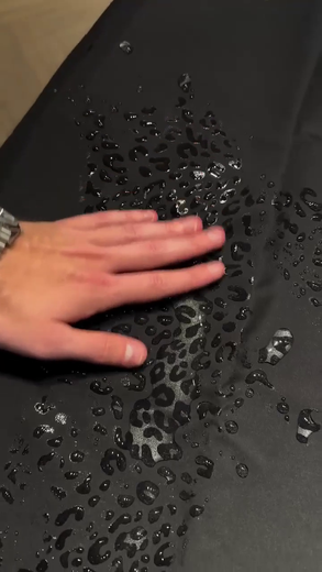 Leopard reveal puffer, pattern showing where wet